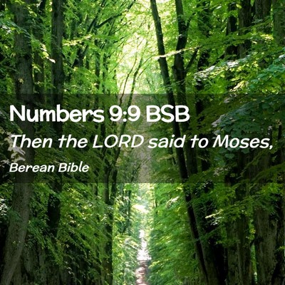 Picture 02 - Numbers 9:9 BSB - Then the LORD said to - Bible Verse Picture