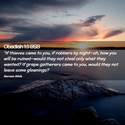 Picture 02 - Obadiah 1:5 BSB - “If thieves came to you, if robbers by - Bible Verse Picture