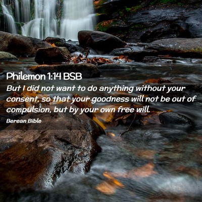 Picture 02 - Philemon 1:14 BSB - But I did not want to do anything without your - Bible Verse Picture