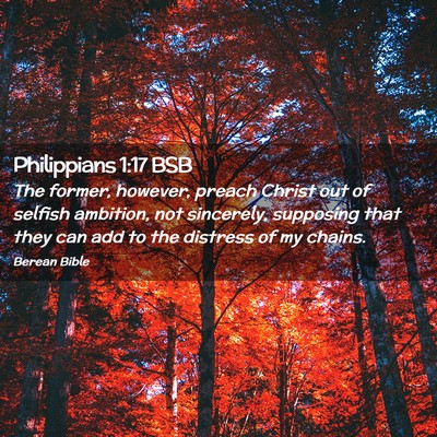 Picture 02 - Philippians 1:17 BSB - The former, however, preach Christ out of selfish - Bible Verse Picture