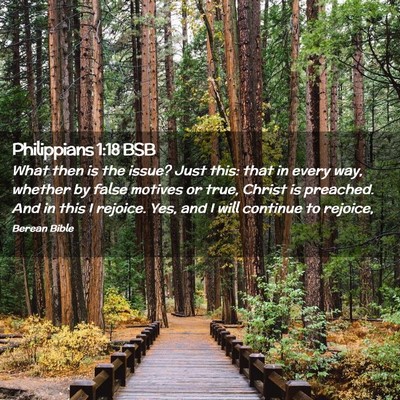 Picture 02 - Philippians 1:18 BSB - What then is the issue? Just this: that in every - Bible Verse Picture