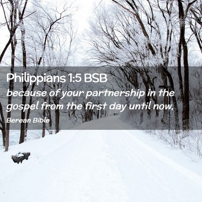 Picture 02 - Philippians 1:5 BSB - because of your partnership in the gospel from - Bible Verse Picture