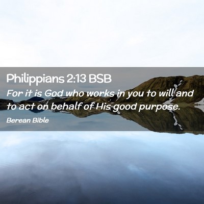 Picture 02 - Philippians 2:13 BSB - For it is God who works in you to will and to act - Bible Verse Picture