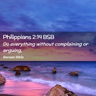 Picture 02 - Philippians 2:14 BSB - Do everything without complaining or - Bible Verse Picture