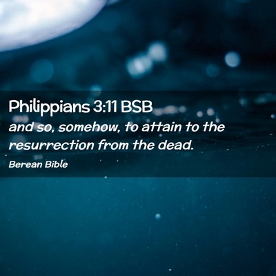 Picture 02 - Philippians 3:11 BSB - and so, somehow, to attain to the resurrection - Bible Verse Picture