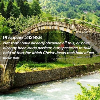 Picture 02 - Philippians 3:12 BSB - Not that I have already obtained all this, or - Bible Verse Picture