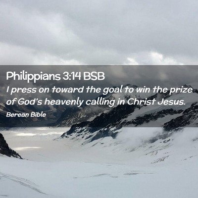 Picture 02 - Philippians 3:14 BSB - I press on toward the goal to win the prize of - Bible Verse Picture