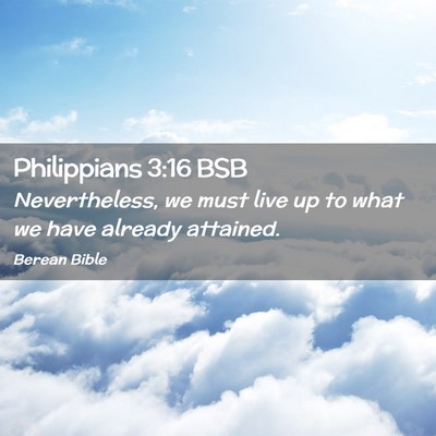 Picture 02 - Philippians 3:16 BSB - Nevertheless, we must live up to what we have - Bible Verse Picture