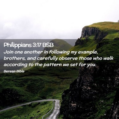 Picture 02 - Philippians 3:17 BSB - Join one another in following my example, - Bible Verse Picture