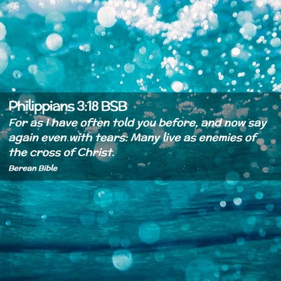 Picture 02 - Philippians 3:18 BSB - For as I have often told you before, and now say - Bible Verse Picture