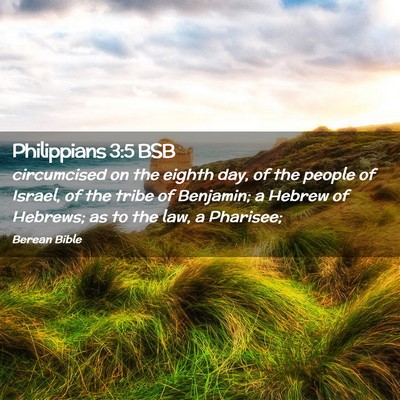 Picture 02 - Philippians 3:5 BSB - circumcised on the eighth day, of the people of - Bible Verse Picture