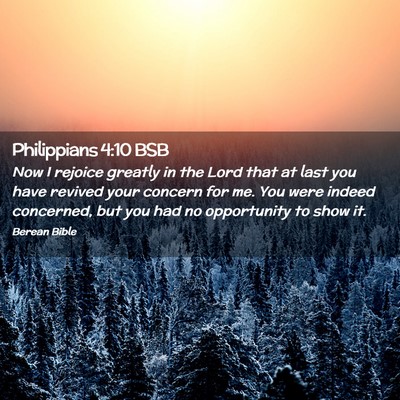 Picture 02 - Philippians 4:10 BSB - Now I rejoice greatly in the Lord that at last - Bible Verse Picture