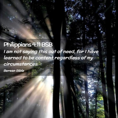Picture 02 - Philippians 4:11 BSB - I am not saying this out of need, for I have - Bible Verse Picture