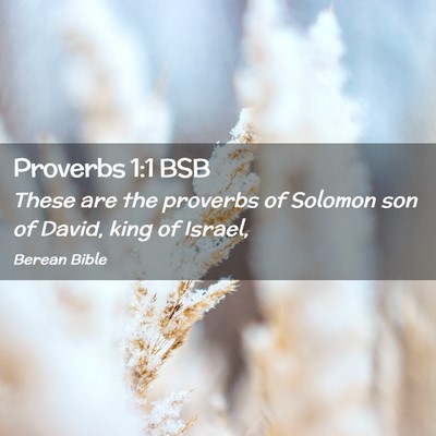 Picture 02 - Proverbs 1:1 BSB - These are the proverbs of Solomon son of David, - Bible Verse Picture