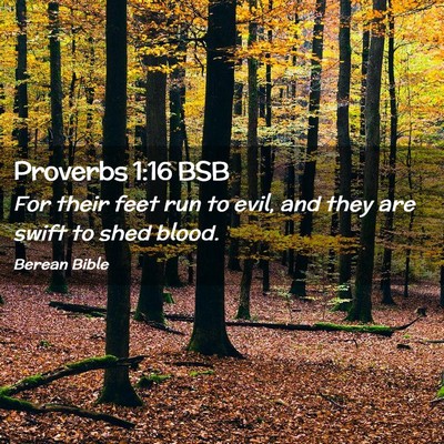 Picture 02 - Proverbs 1:16 BSB - For their feet run to evil, and they are swift to - Bible Verse Picture