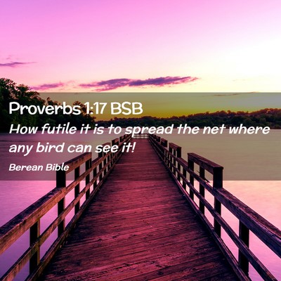 Picture 02 - Proverbs 1:17 BSB - How futile it is to spread the net where any bird - Bible Verse Picture