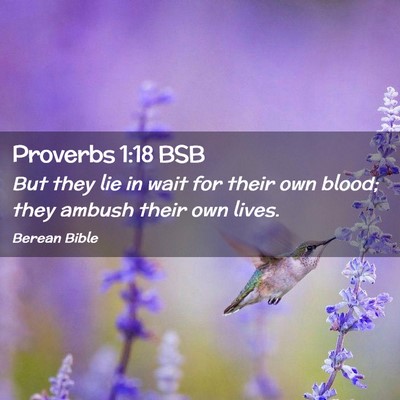 Picture 02 - Proverbs 1:18 BSB - But they lie in wait for their own blood; they - Bible Verse Picture