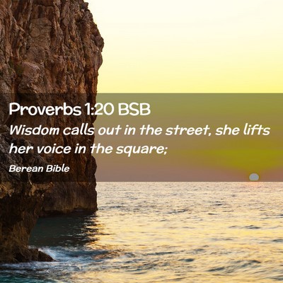 Picture 02 - Proverbs 1:20 BSB - Wisdom calls out in the street, she lifts her - Bible Verse Picture