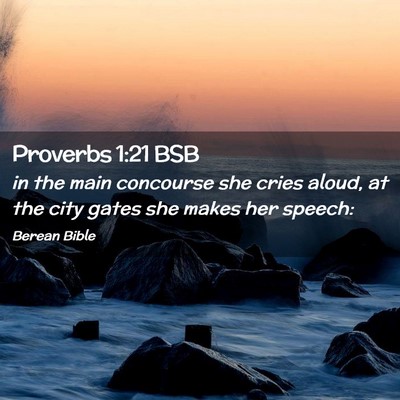 Picture 02 - Proverbs 1:21 BSB - in the main concourse she cries aloud, at the - Bible Verse Picture