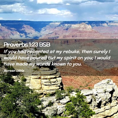 Picture 02 - Proverbs 1:23 BSB - If you had repented at my rebuke, then surely I - Bible Verse Picture