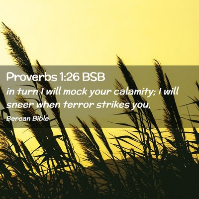 Picture 02 - Proverbs 1:26 BSB - in turn I will mock your calamity; I will sneer - Bible Verse Picture