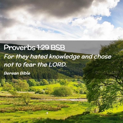 Picture 02 - Proverbs 1:29 BSB - For they hated knowledge and chose not to fear - Bible Verse Picture