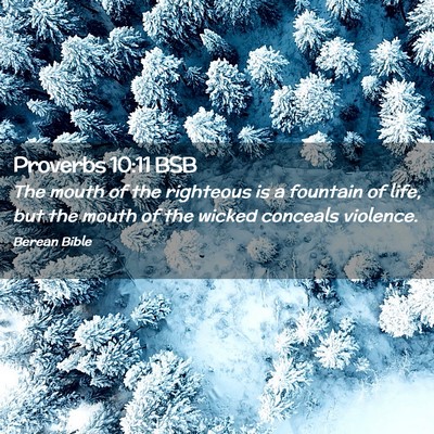 Picture 02 - Proverbs 10:11 BSB - The mouth of the righteous is a fountain of life, - Bible Verse Picture