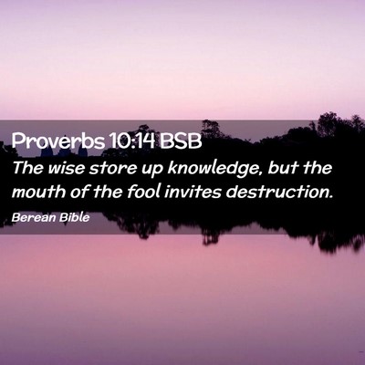 Picture 02 - Proverbs 10:14 BSB - The wise store up knowledge, but the mouth of the - Bible Verse Picture