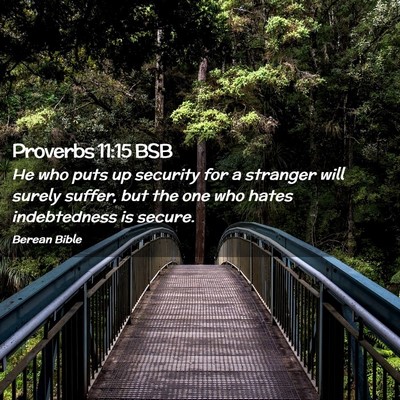 Picture 02 - Proverbs 11:15 BSB - He who puts up security for a stranger will - Bible Verse Picture