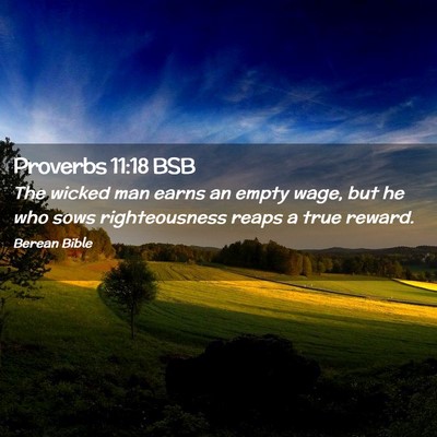 Picture 02 - Proverbs 11:18 BSB - The wicked man earns an empty wage, but he who - Bible Verse Picture