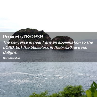 Picture 02 - Proverbs 11:20 BSB - The perverse in heart are an abomination to the - Bible Verse Picture