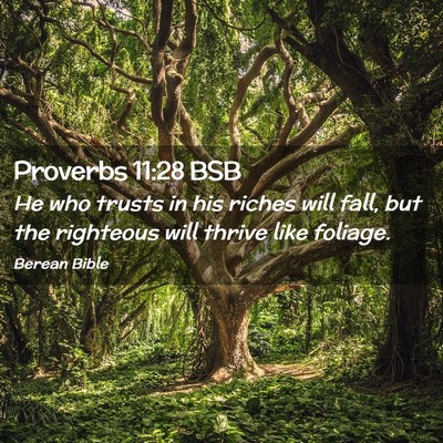 Picture 02 - Proverbs 11:28 BSB - He who trusts in his riches will fall, but the - Bible Verse Picture