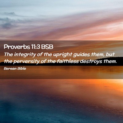 Picture 02 - Proverbs 11:3 BSB - The integrity of the upright guides them, but the - Bible Verse Picture