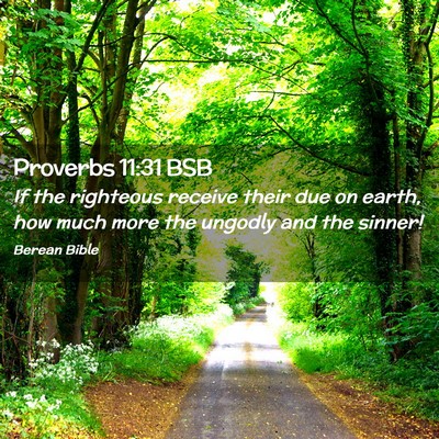 Picture 02 - Proverbs 11:31 BSB - If the righteous receive their due on earth, how - Bible Verse Picture