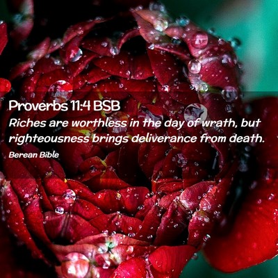 Picture 02 - Proverbs 11:4 BSB - Riches are worthless in the day of wrath, but - Bible Verse Picture