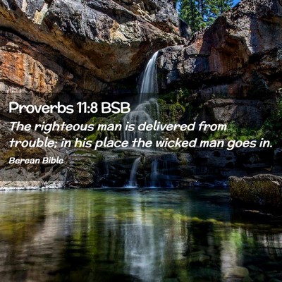 Picture 02 - Proverbs 11:8 BSB - The righteous man is delivered from trouble; in - Bible Verse Picture
