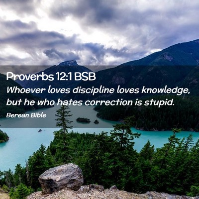Picture 02 - Proverbs 12:1 BSB - Whoever loves discipline loves knowledge, but he - Bible Verse Picture