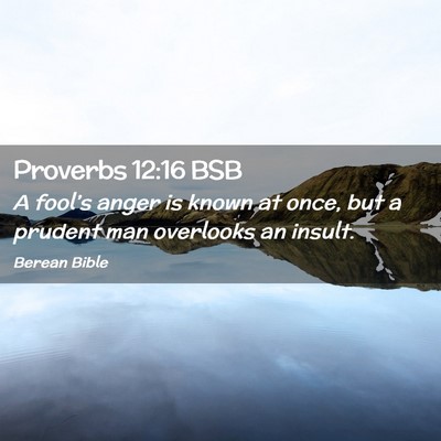 Picture 02 - Proverbs 12:16 BSB - A fool’s anger is known at once, but a prudent - Bible Verse Picture