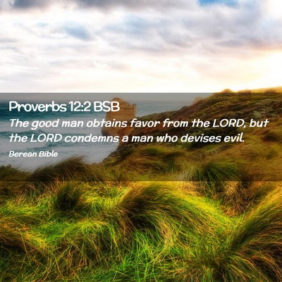 Picture 02 - Proverbs 12:2 BSB - The good man obtains favor from the LORD, but the - Bible Verse Picture
