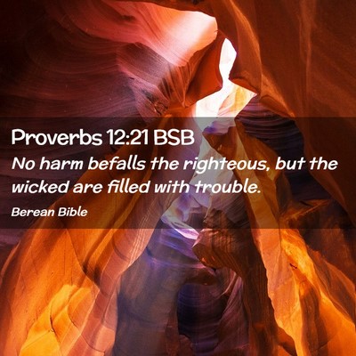 Picture 02 - Proverbs 12:21 BSB - No harm befalls the righteous, but the wicked are - Bible Verse Picture