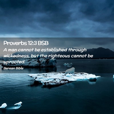 Picture 02 - Proverbs 12:3 BSB - A man cannot be established through wickedness, - Bible Verse Picture