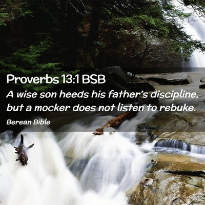 Picture 02 - Proverbs 13:1 BSB - A wise son heeds his father’s discipline, but a - Bible Verse Picture