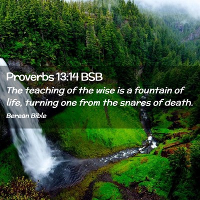 Picture 02 - Proverbs 13:14 BSB - The teaching of the wise is a fountain of life, - Bible Verse Picture