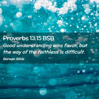 Picture 02 - Proverbs 13:15 BSB - Good understanding wins favor, but the way of the - Bible Verse Picture