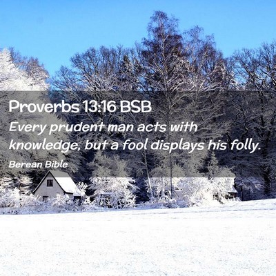 Picture 02 - Proverbs 13:16 BSB - Every prudent man acts with knowledge, but a fool - Bible Verse Picture