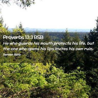 Picture 02 - Proverbs 13:3 BSB - He who guards his mouth protects his life, but - Bible Verse Picture