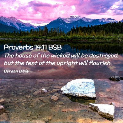 Picture 02 - Proverbs 14:11 BSB - The house of the wicked will be destroyed, but - Bible Verse Picture