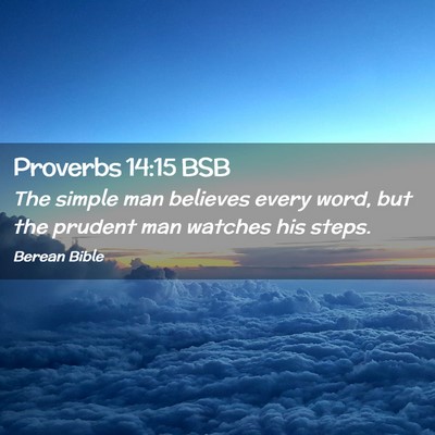 Picture 02 - Proverbs 14:15 BSB - The simple man believes every word, but the - Bible Verse Picture