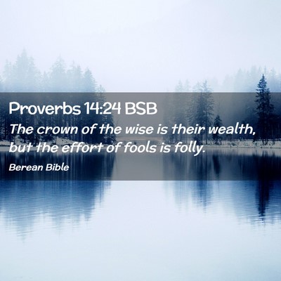 Picture 02 - Proverbs 14:24 BSB - The crown of the wise is their wealth, but the - Bible Verse Picture
