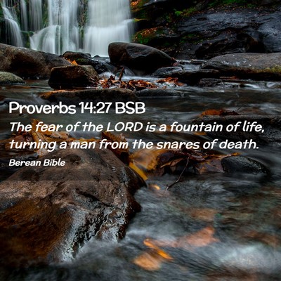 Picture 02 - Proverbs 14:27 BSB - The fear of the LORD is a fountain of life, - Bible Verse Picture